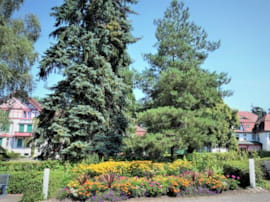 Blumen vor dem Haus 3 mit Blick in den Garten